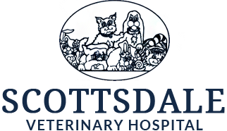 Scottsdale Veterinary Hospital